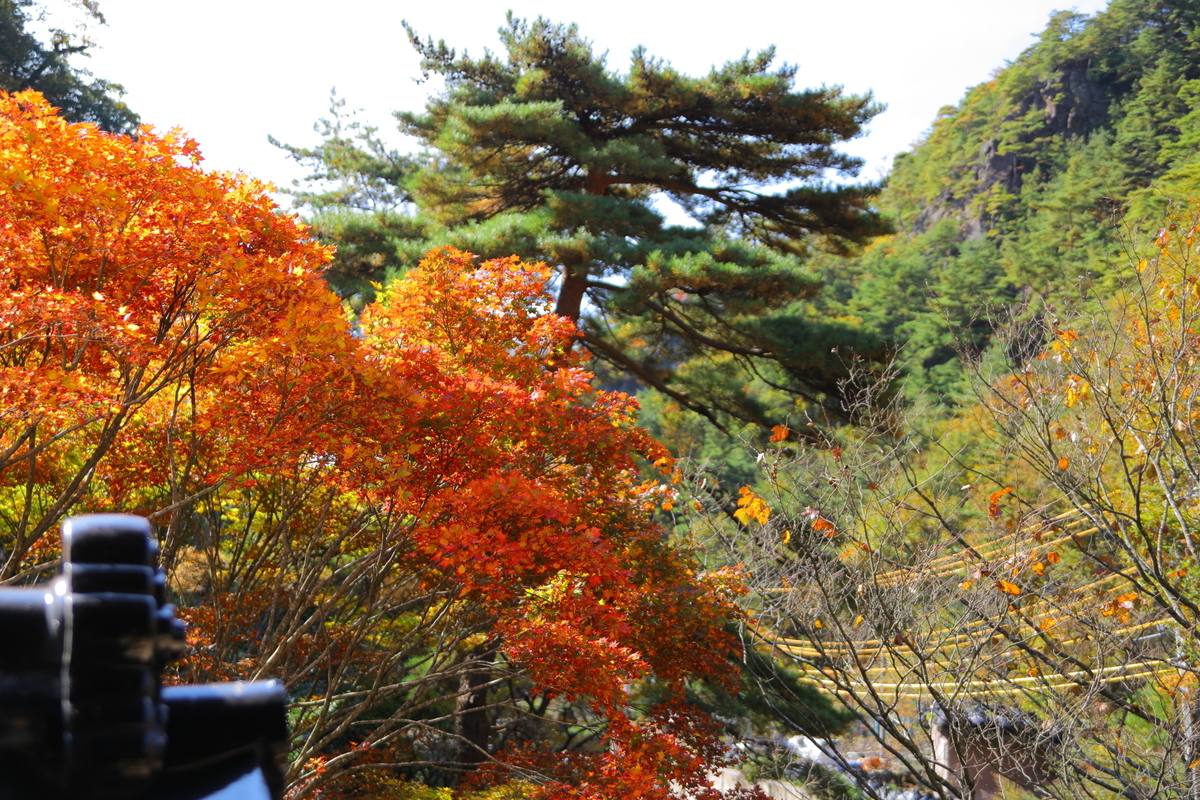 f:id:activegirlmax0:20200128164510j:plain