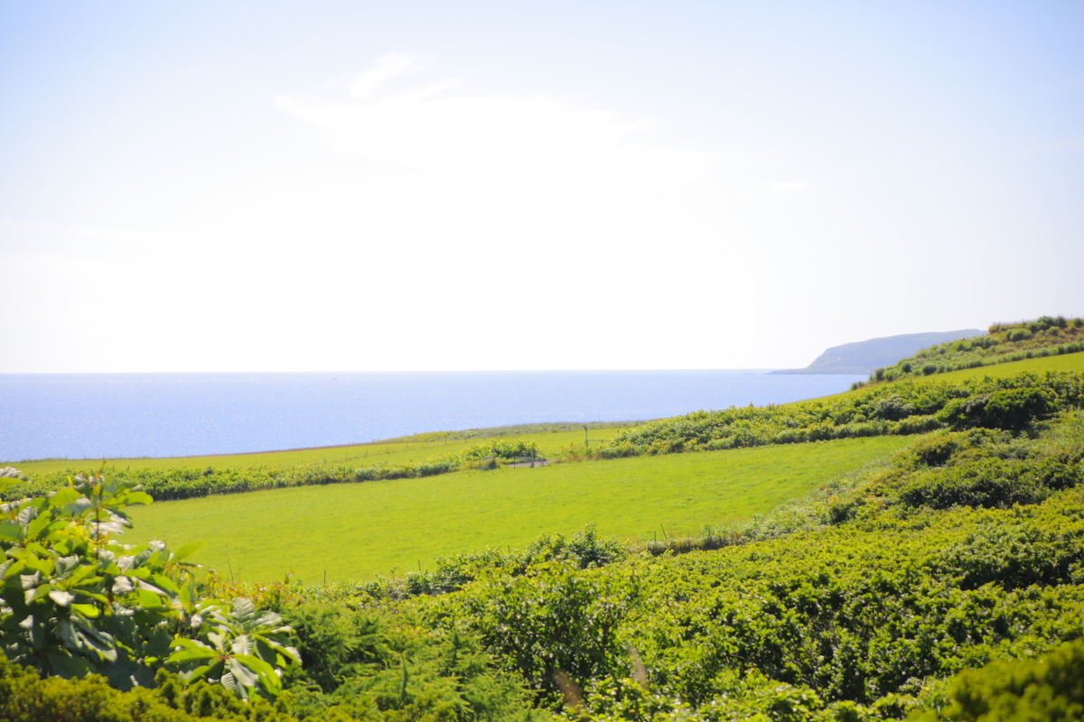 f:id:activegirlmax0:20200720125523j:plain