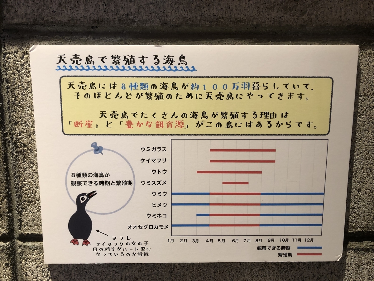 f:id:activegirlmax0:20200808203228j:plain