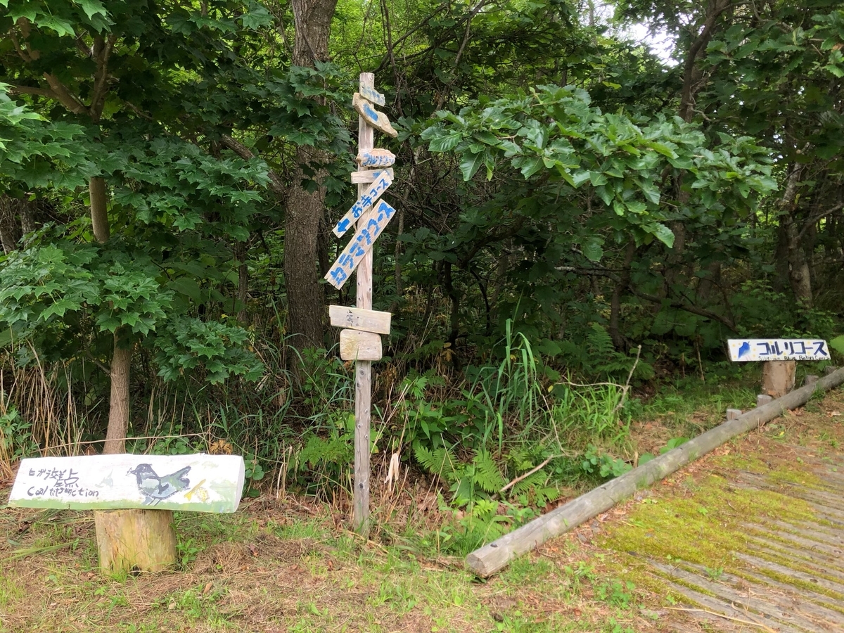 f:id:activegirlmax0:20200809092002j:plain