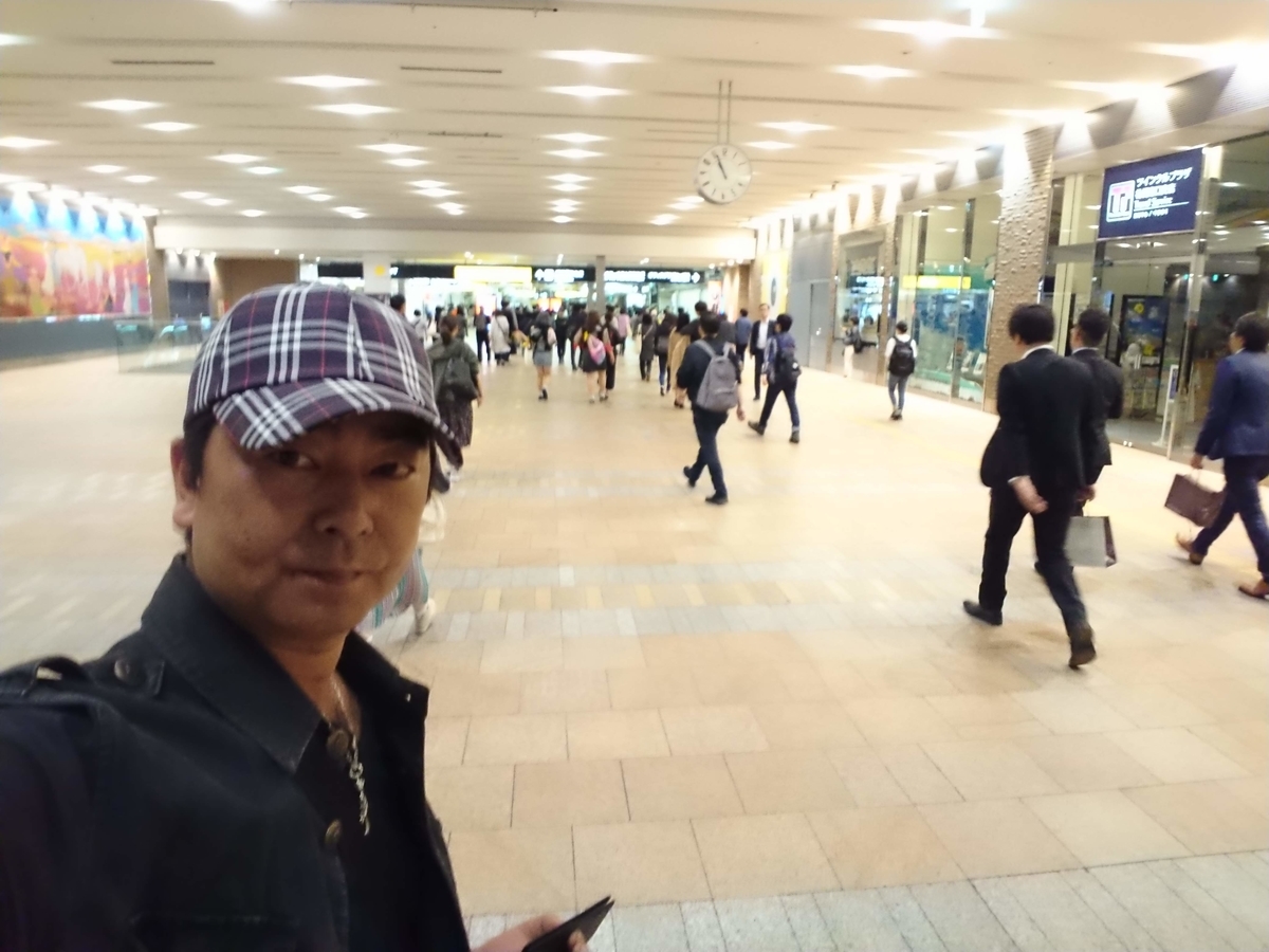 f:id:activesakai:20190519061313j:plain