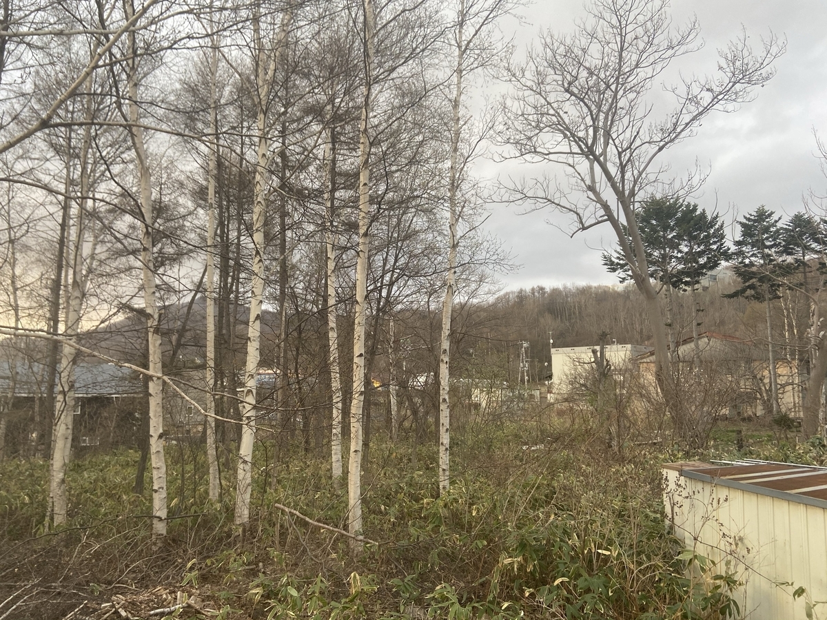f:id:activesakai:20210422053228j:plain