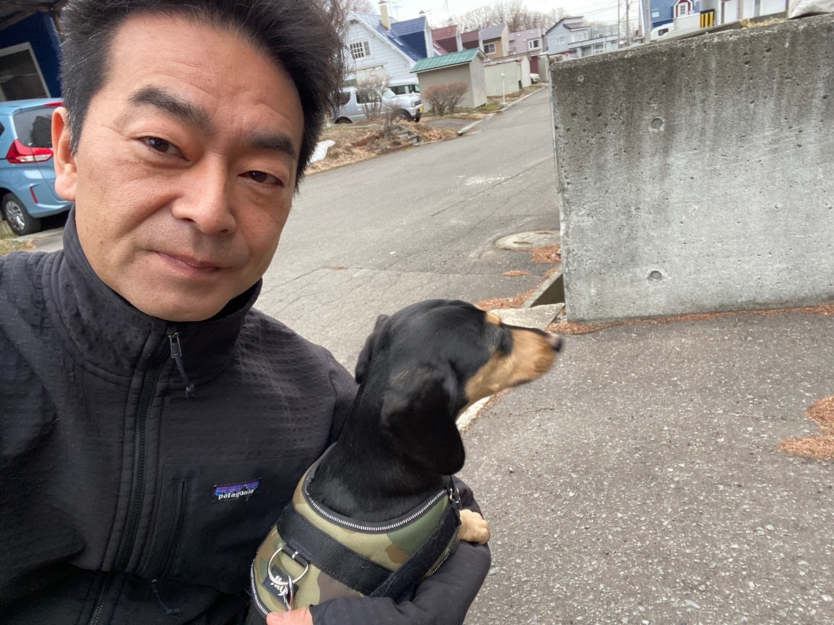 f:id:activesakai:20220415053534j:plain