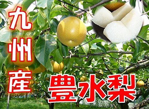 f:id:activitv:20161024181613j:plain f:id:activitv:20161024181613j:plain