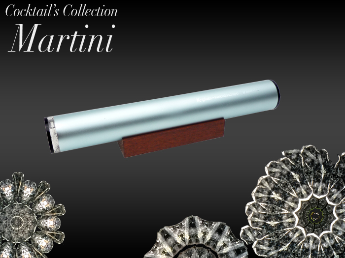 f:id:activitv:20161109225806j:plain f:id:activitv:20161109225806j:plain