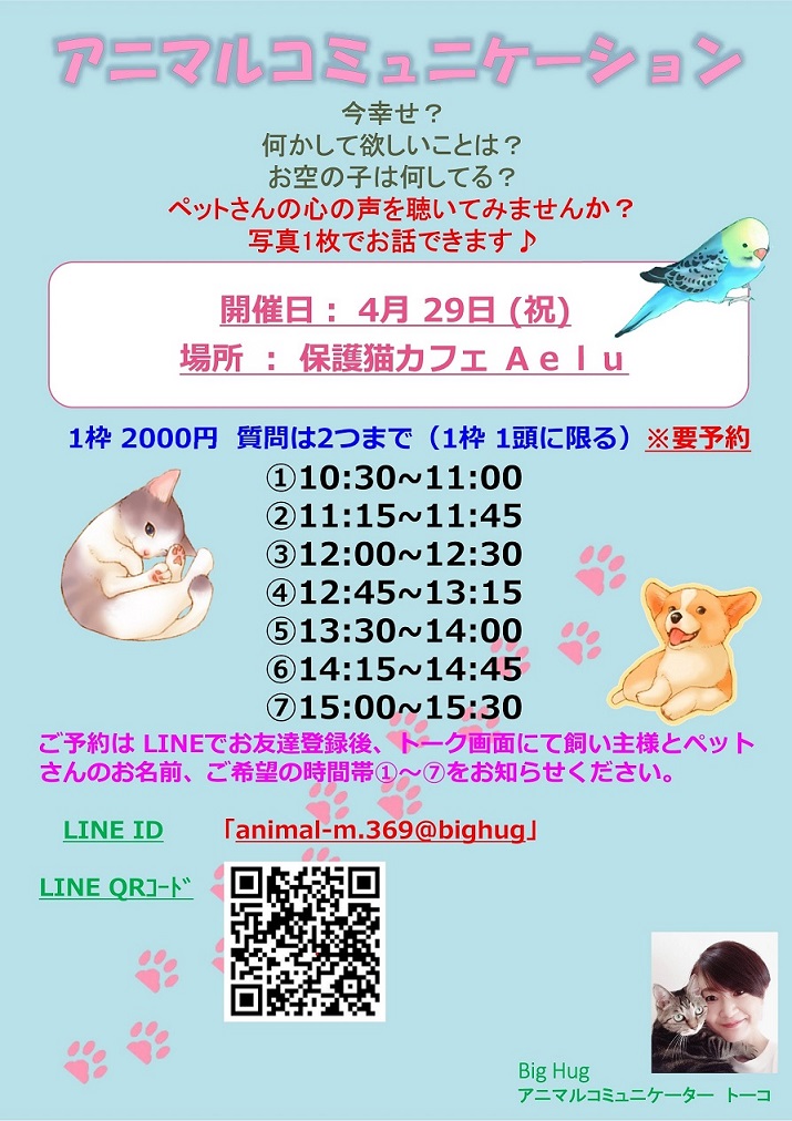 保護猫カフェaelu はぴにゃん祭り イベントに出店します Big Hug