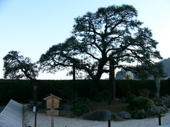 f:id:actypio:20070212161316j:image