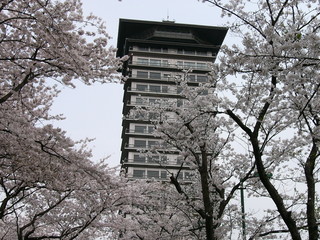 f:id:actypio:20070401161959j:image