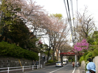 f:id:actypio:20070408150028j:image