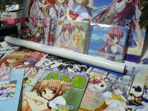 f:id:actypio:20070503212800j:image f:id:actypio:20070503212800j:image