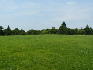 f:id:actypio:20080720111617j:image