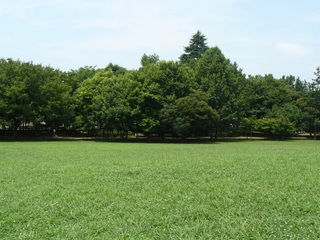 f:id:actypio:20080720111721j:image