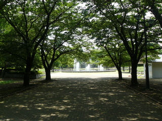 f:id:actypio:20080720111823j:image