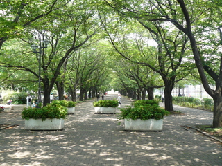 f:id:actypio:20080720112335j:image