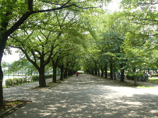 f:id:actypio:20080720112614j:image