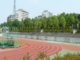 f:id:actypio:20080720132828j:image