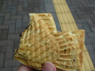 f:id:actypio:20081025144642j:image