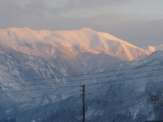 f:id:actypio:20090111163609j:image