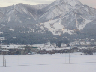 f:id:actypio:20090111163733j:image