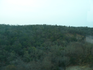 f:id:actypio:20090118073512j:image