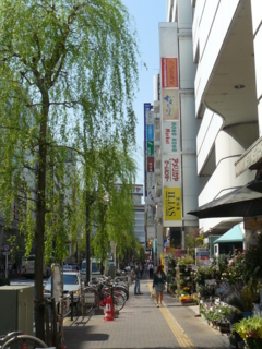 f:id:actypio:20090411094950j:image