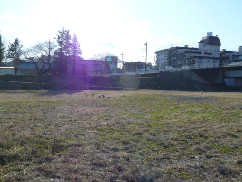 f:id:actypio:20091220135527j:image