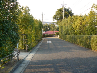 f:id:actypio:20091227153928j:image