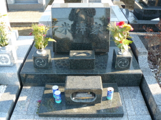 f:id:actypio:20100102145402j:image