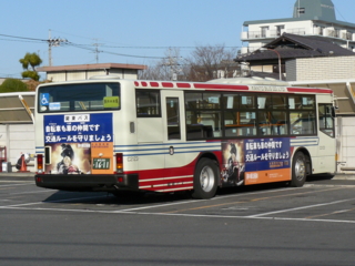 f:id:actypio:20100113143413j:image:right
