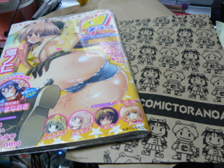 f:id:actypio:20100220211159j:image