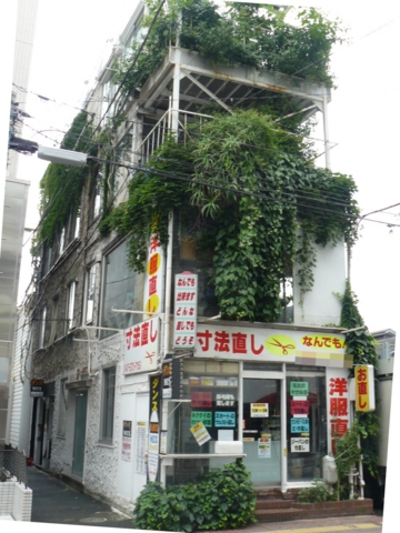 f:id:actypio:20100704082748j:image:h320
