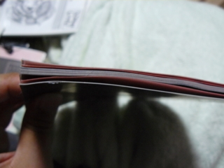 f:id:actypio:20100705205049j:image:right