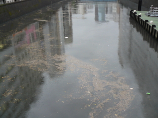 f:id:actypio:20100908155604j:image