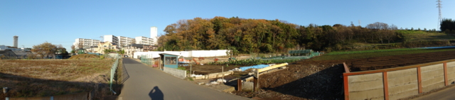 f:id:actypio:20101204151833j:image