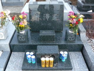 f:id:actypio:20101229164113j:image
