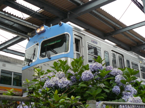 f:id:actypio:20110626161812j:image