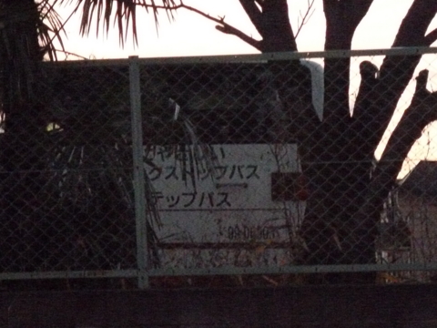 f:id:actypio:20111218165308j:image:w320