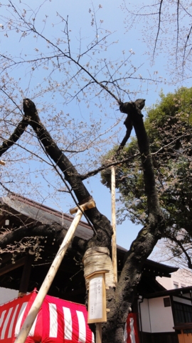 f:id:actypio:20120401123340j:image:h320
