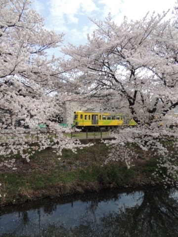 f:id:actypio:20130328123642j:image:h320