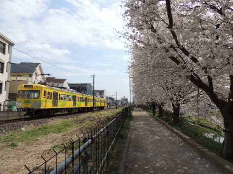 f:id:actypio:20130328131634j:image:w320