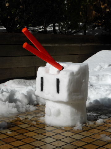 f:id:actypio:20140209135410j:image:h320