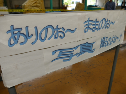 f:id:actypio:20150607123117j:image:w320