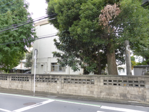 f:id:actypio:20151113134403j:image:w320