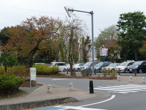 f:id:actypio:20151117134337j:image:w320 f:id:actypio:20151117134337j:image:w320
