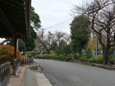 f:id:actypio:20151117135112j:image:w320 f:id:actypio:20151117135112j:image:w320