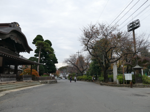 f:id:actypio:20151117135719j:image:w320 f:id:actypio:20151117135719j:image:w320
