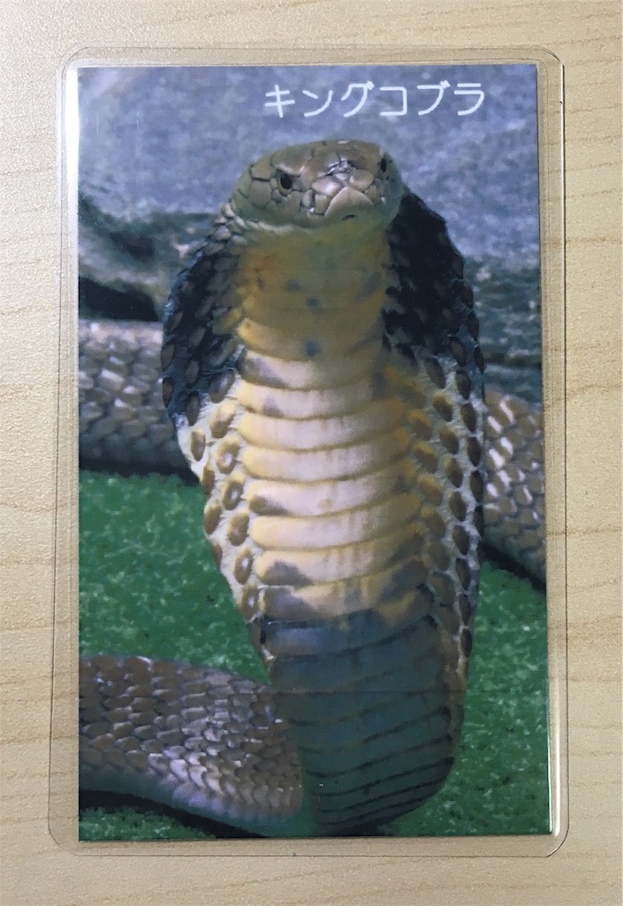 f:id:acu_qian-ming:20171128142149j:image