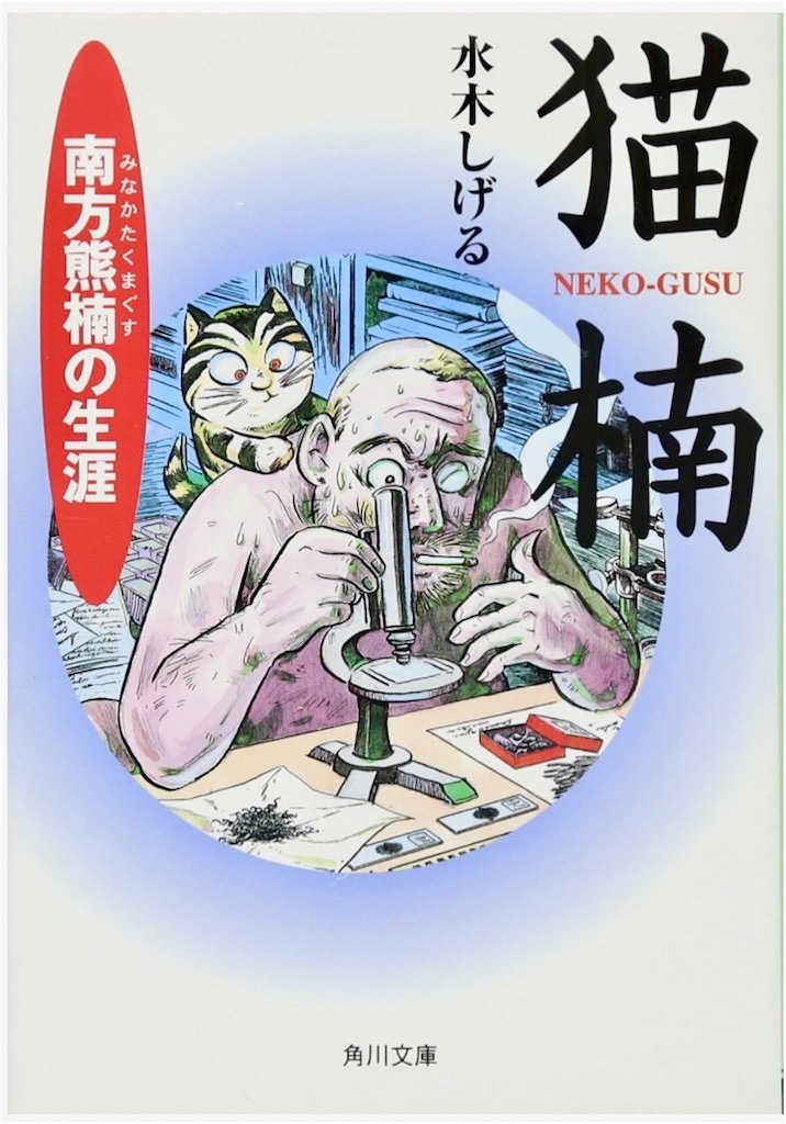 f:id:acu_qian-ming:20180204212940j:image f:id:acu_qian-ming:20180204212940j:image