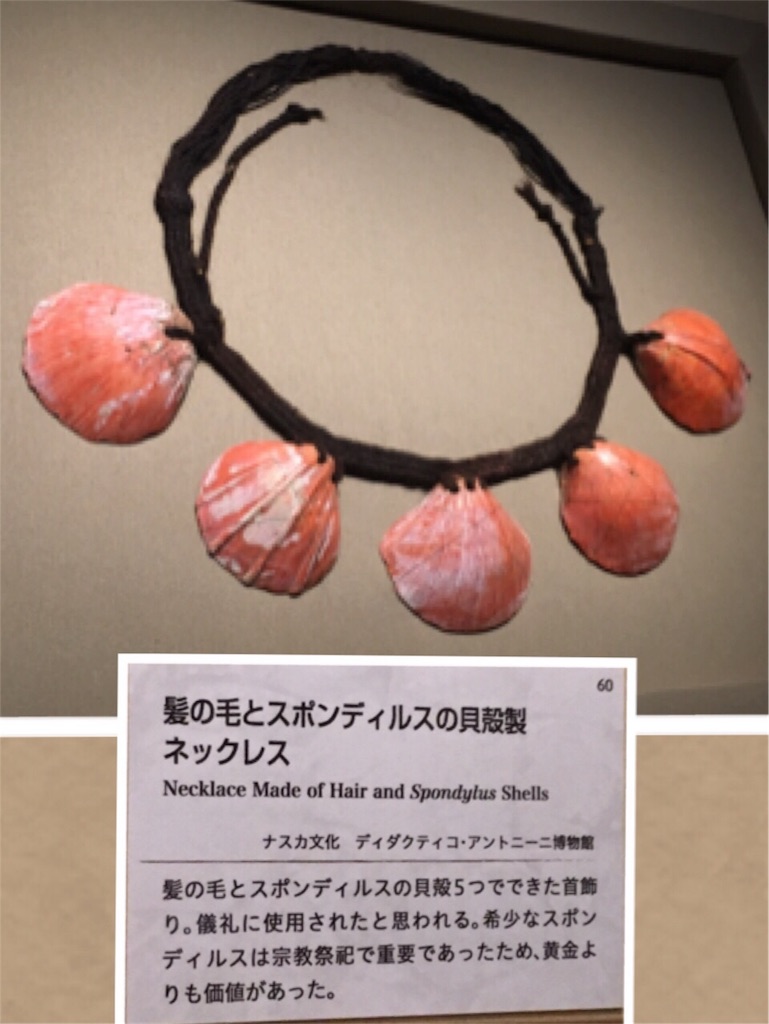 f:id:acu_qian-ming:20180204224517j:image f:id:acu_qian-ming:20180204224517j:image