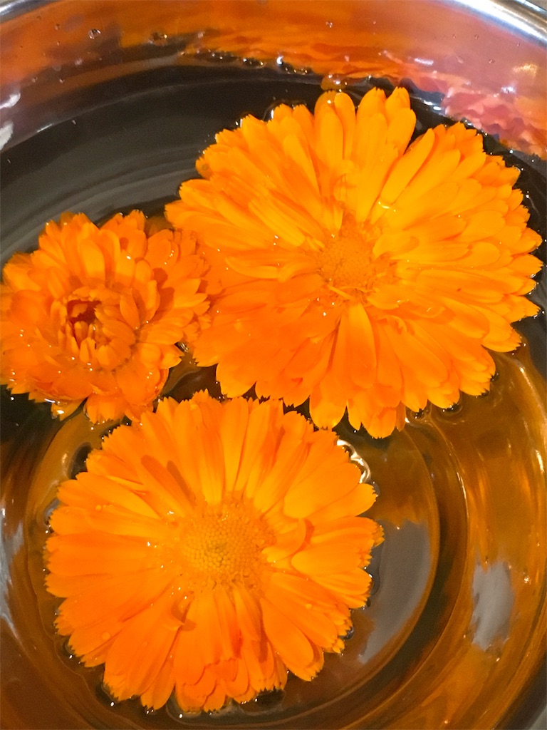 f:id:acu_qian-ming:20180521085400j:image f:id:acu_qian-ming:20180521085400j:image